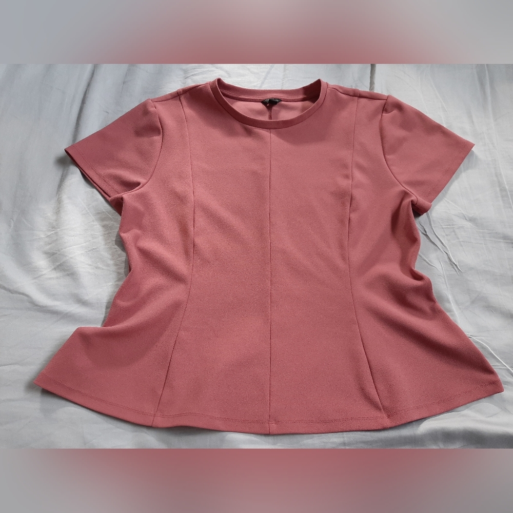 ANN TAYLOR Dusty Pink Flare Short Sleeve Peplum Blouse XL
